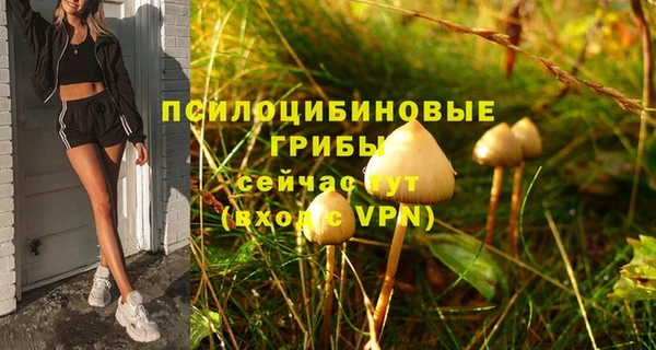 дживик Горняк