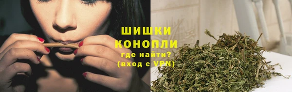 дживик Горняк