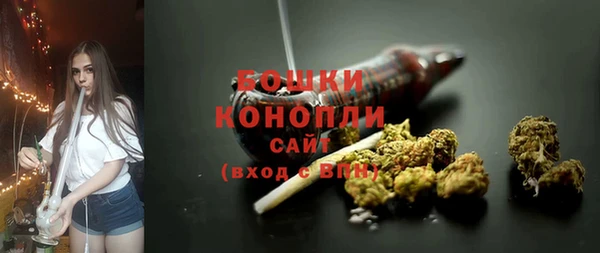 дживик Горняк