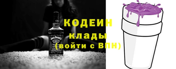 дживик Горняк