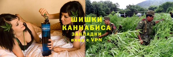дживик Горняк
