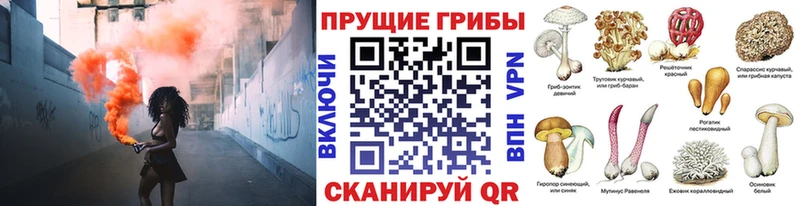 Псилоцибиновые грибы мицелий  Нижняя Салда 